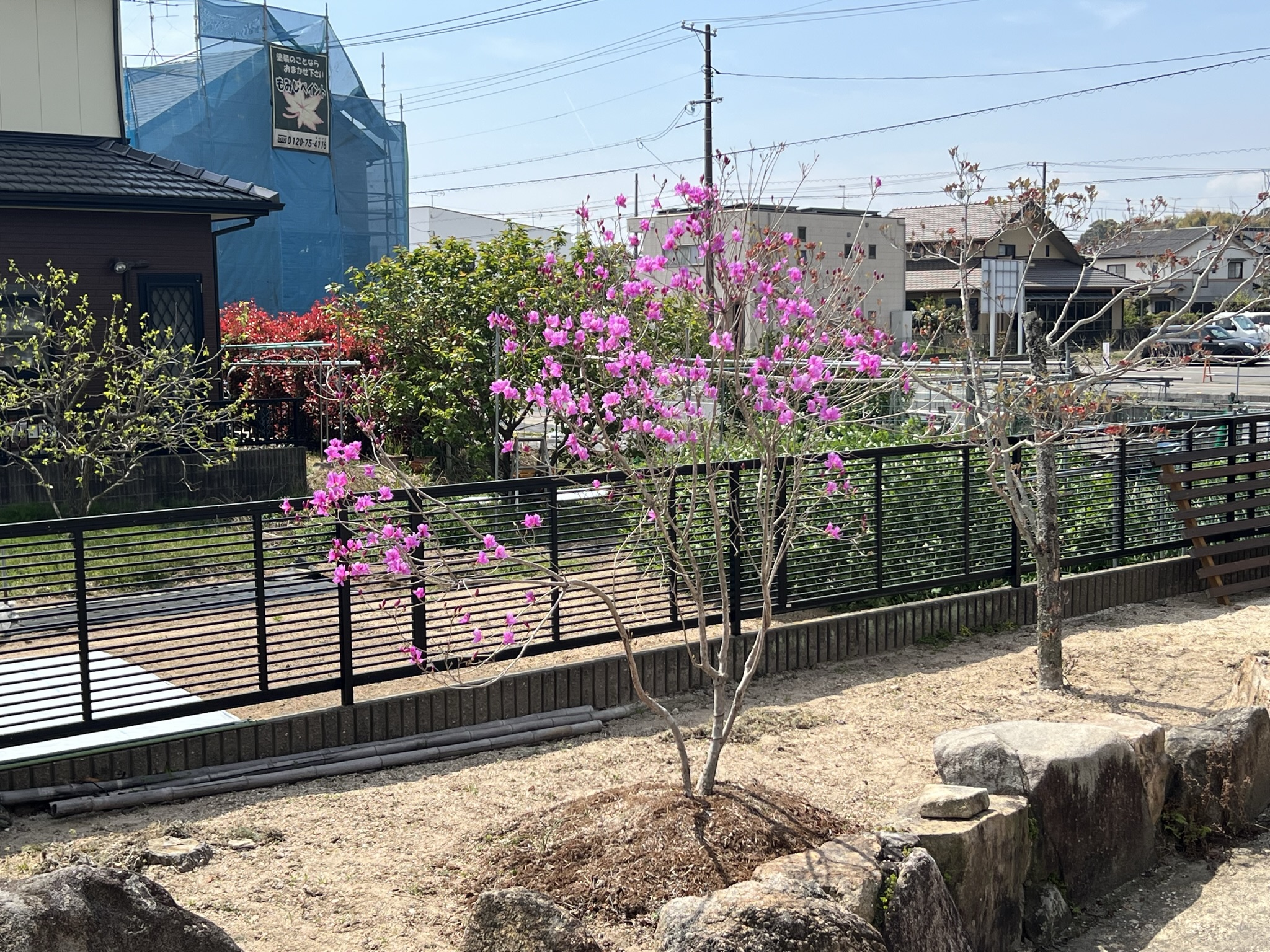 つつじ＠大野中央の家