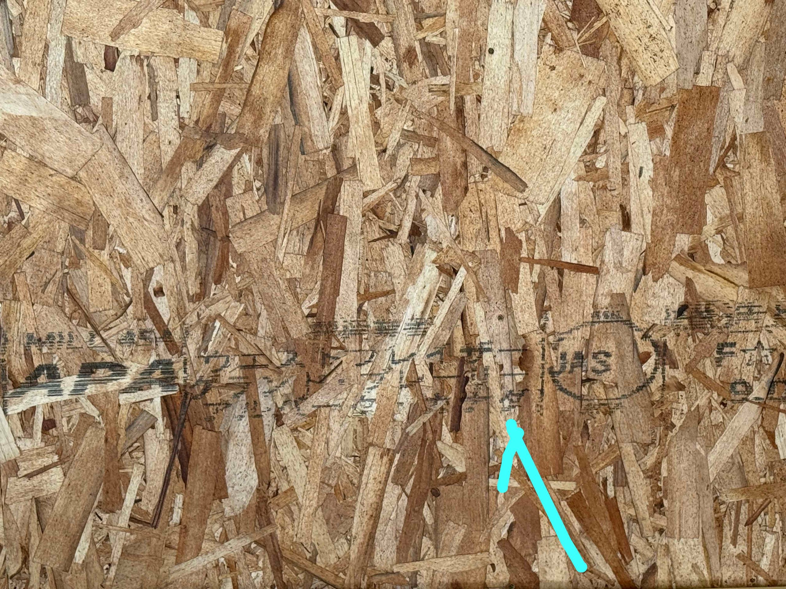 OSB＠大島の食堂