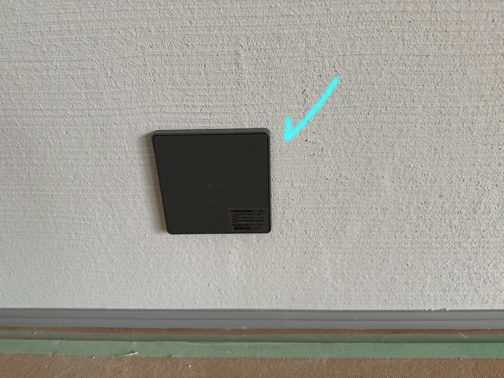 なぞの物体＠庚午の家